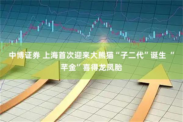 中博证券 上海首次迎来大熊猫“子二代”诞生 “芊金”喜得龙凤胎