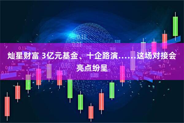 灿星财富 3亿元基金、十企路演……这场对接会亮点纷呈