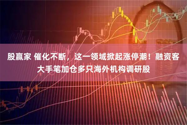 股赢家 催化不断，这一领域掀起涨停潮！融资客大手笔加仓多只海外机构调研股
