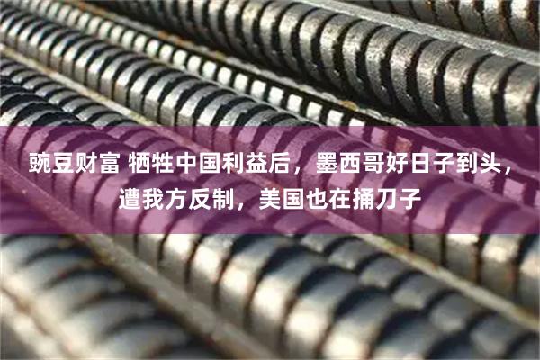 豌豆财富 牺牲中国利益后，墨西哥好日子到头，遭我方反制，美国也在捅刀子