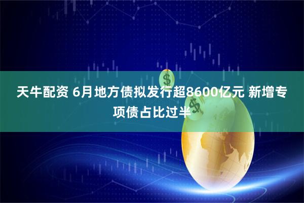 天牛配资 6月地方债拟发行超8600亿元 新增专项债占比过半