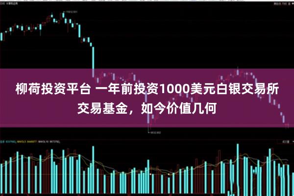 柳荷投资平台 一年前投资1000美元白银交易所交易基金，如今价值几何