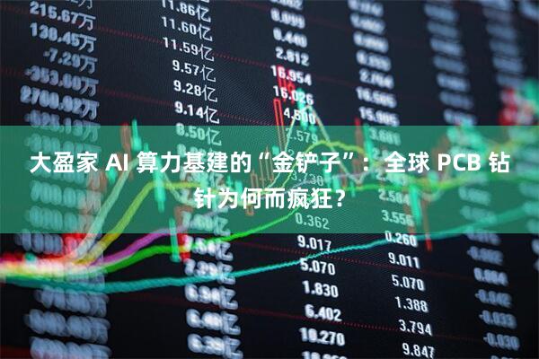大盈家 AI 算力基建的“金铲子”：全球 PCB 钻针为何而疯狂？